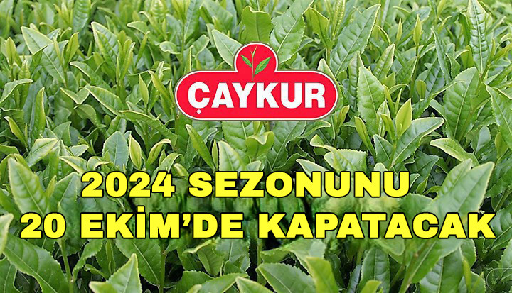 ÇAYKUR, 2024 Yılı Yaş Çay Dönemini 20 Ekim'de Kapatacak