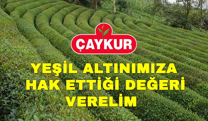 ÇAYKUR 3. Sürgünde Üreticilerimizin Bütün Çaylarını Alacağız